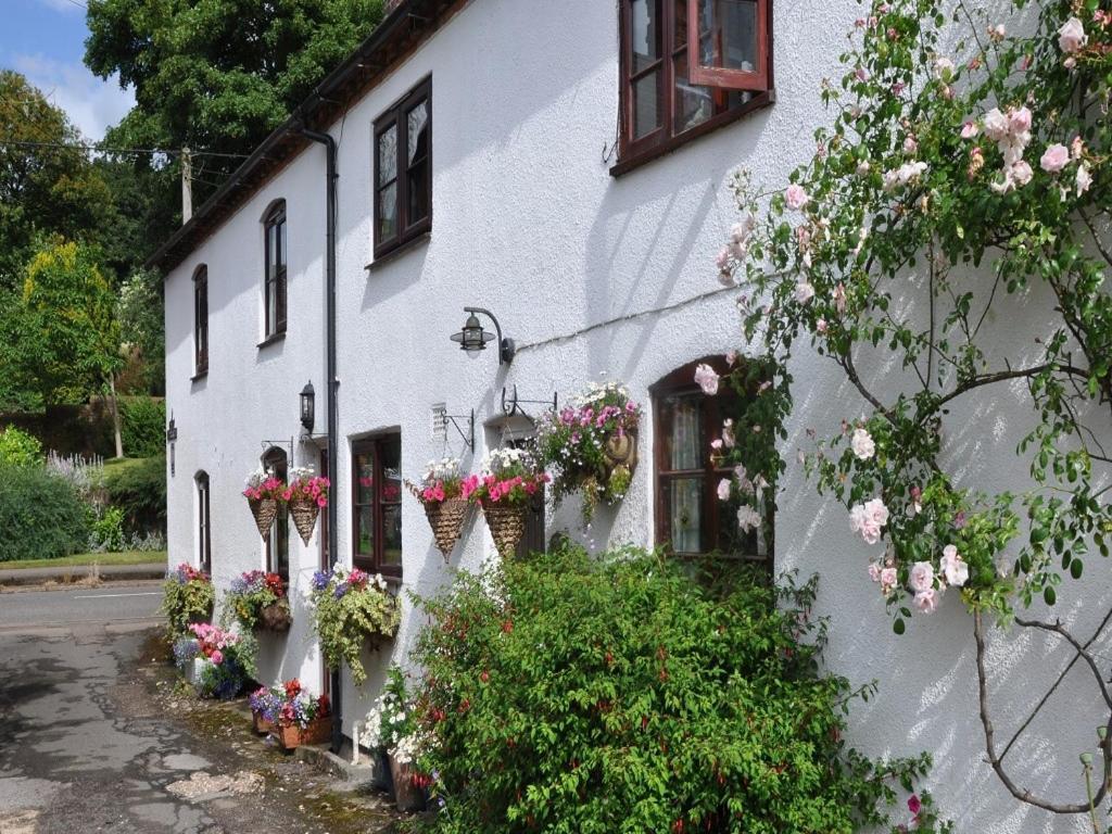 Shepherds Row Bed And Breakfast West Haddon Exteriér fotografie